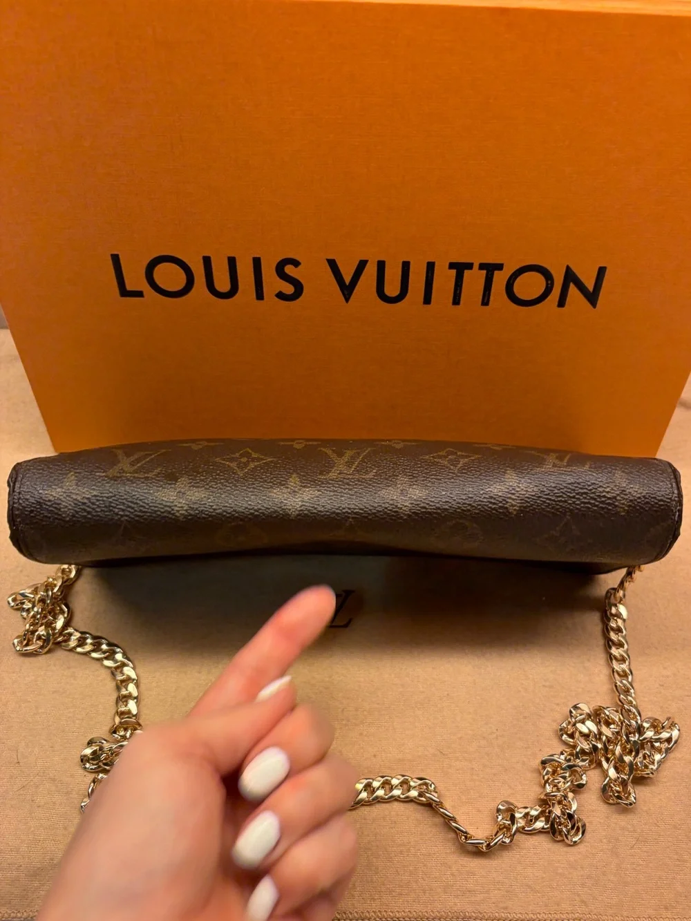 Louis Vuitton authentic louis